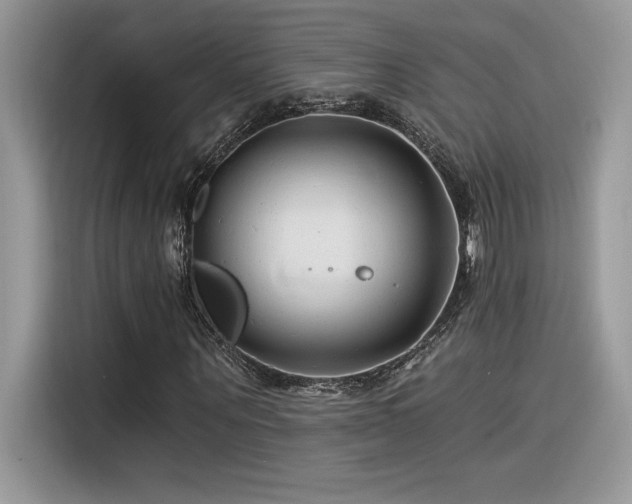 X0000116390867200912021538