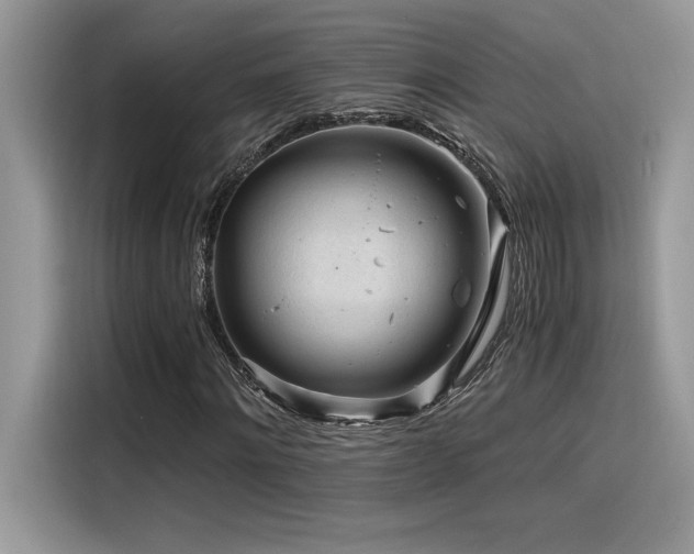 X0000116390868200912021538