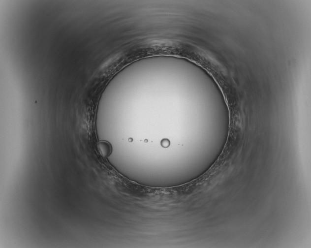 X0000116390869200912021538