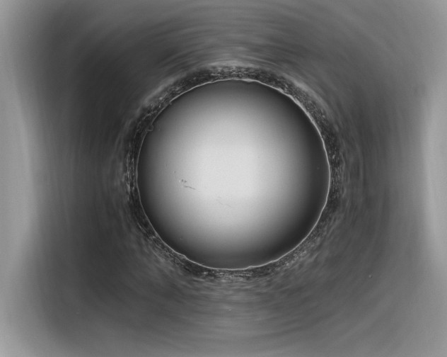 X0000116390870200912021538