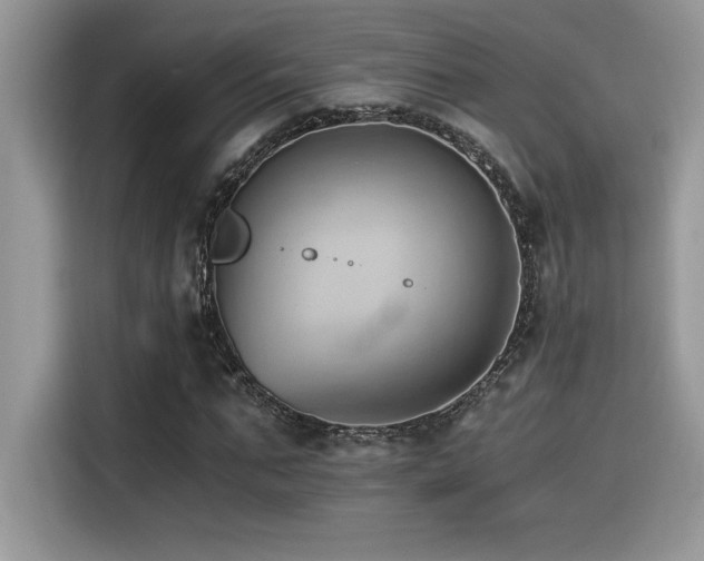 X0000116390871200912021538