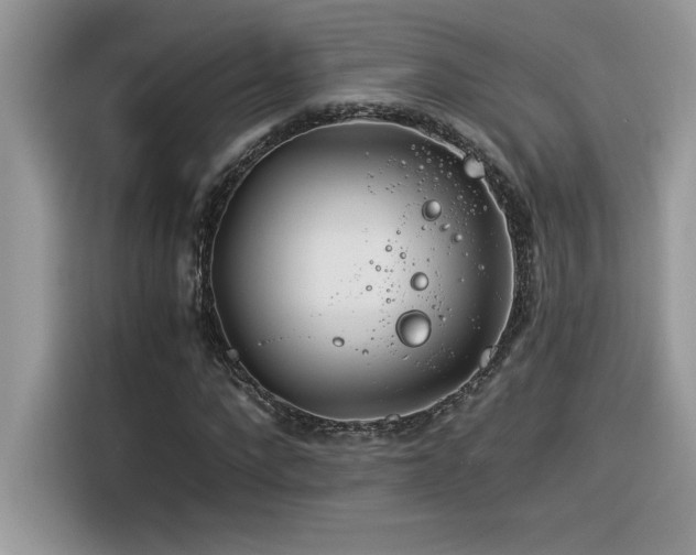 X0000116390872200912021537