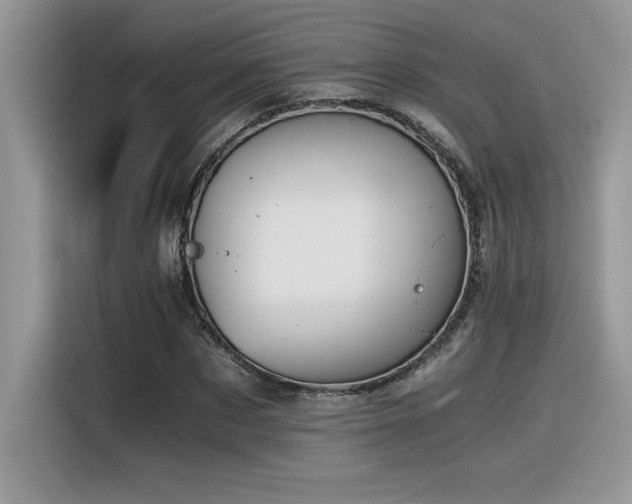 X0000116390873200912021537