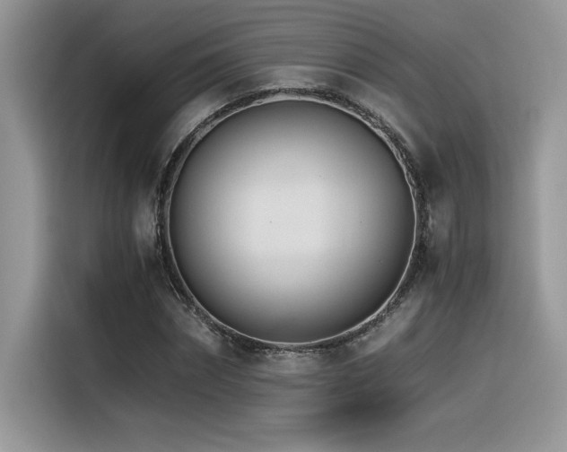 X0000116390874200912021537