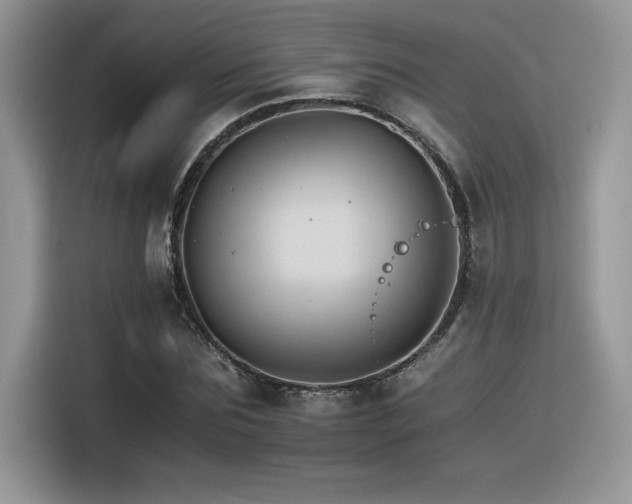 X0000116390875200912021537
