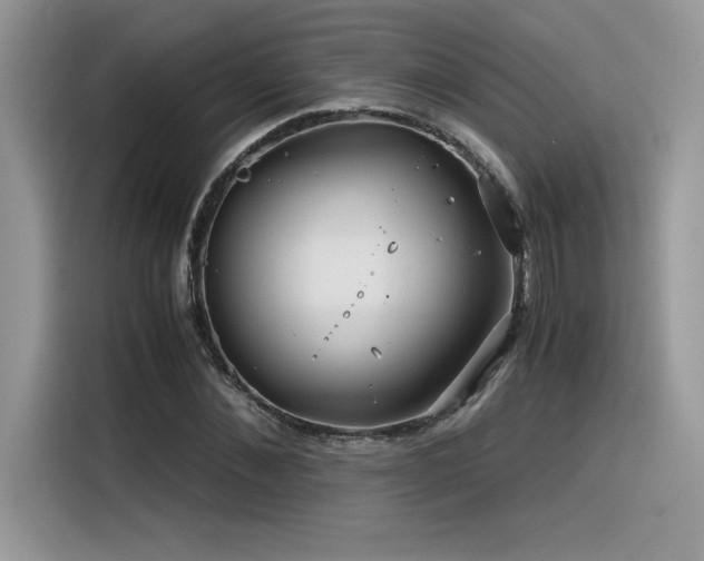 X0000116390876200912021537