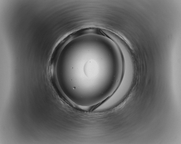 X0000116390877200912021537
