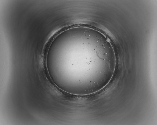 X0000116390878200912021537