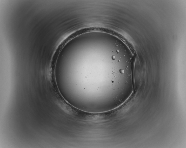 X0000116390879200912021537