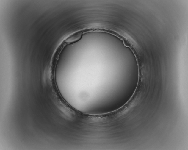 X0000116390880200912021537