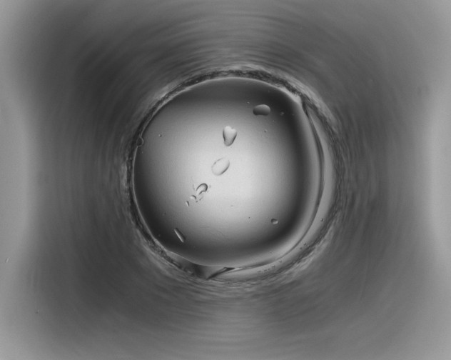 X0000116390881200912021537