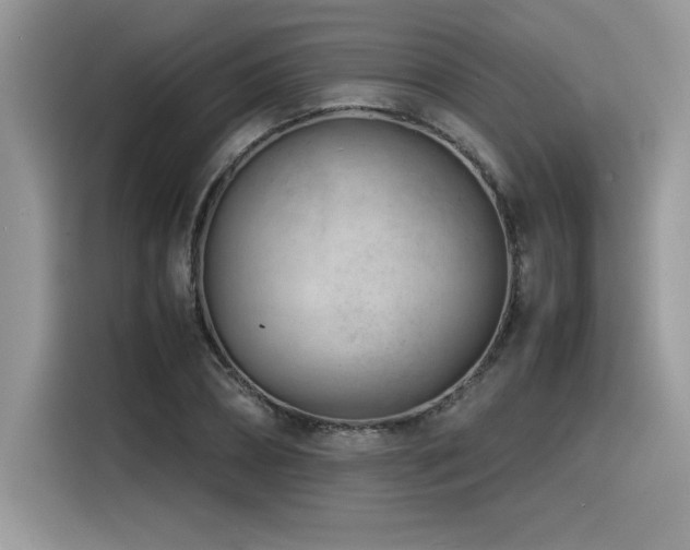 X0000116390882200912021537