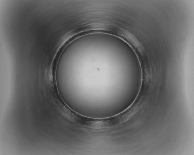 X0000116390883200912021537