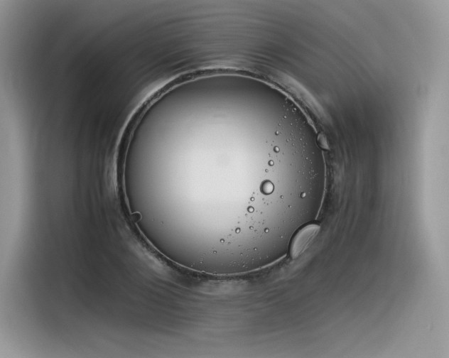 X0000116390884200912021537