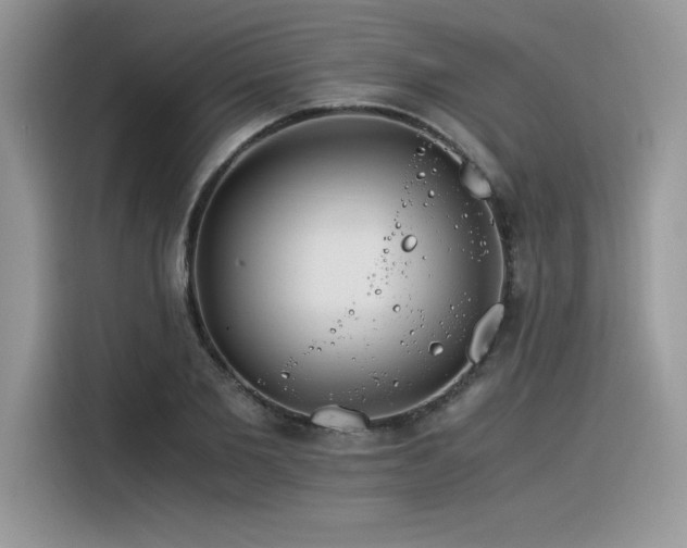 X0000116390885200912021537