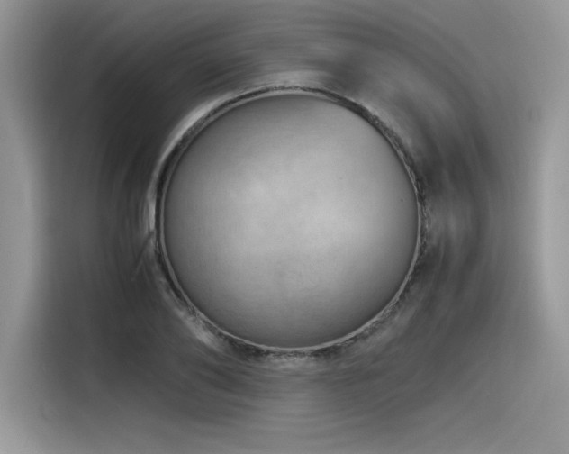 X0000116390886200912021537