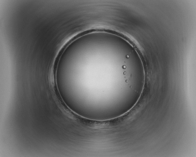 X0000116390887200912021537