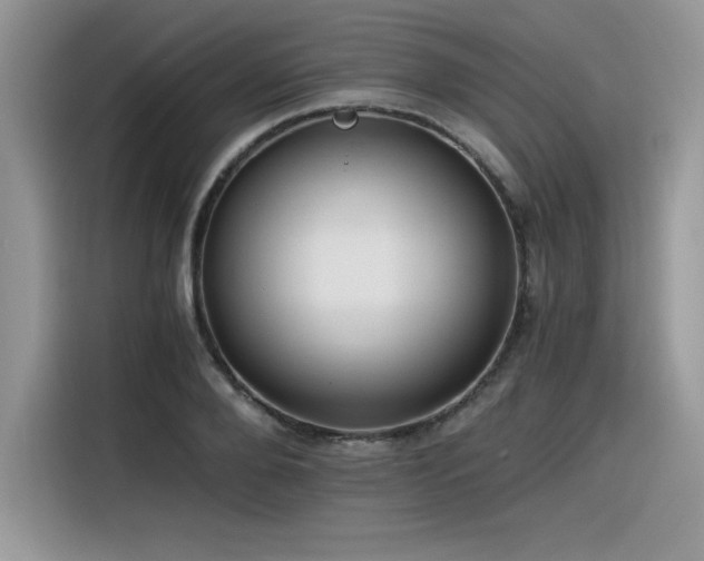 X0000116390888200912021537