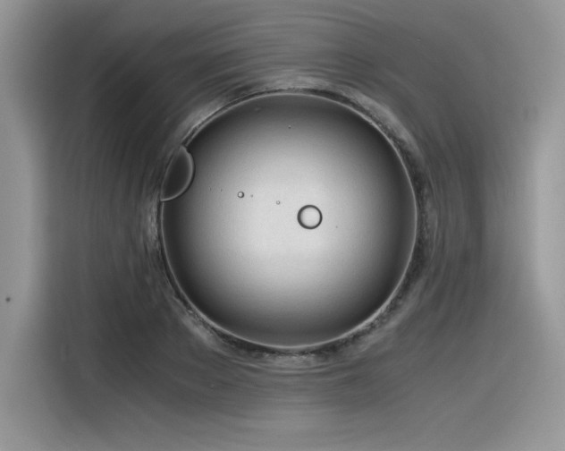 X0000116390889200912021537