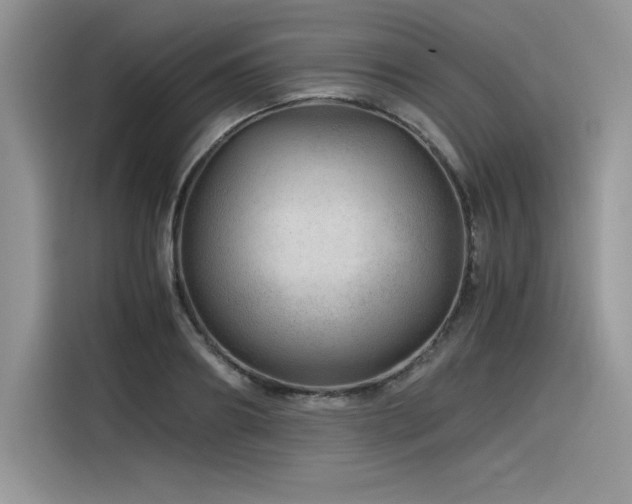 X0000116390890200912021537