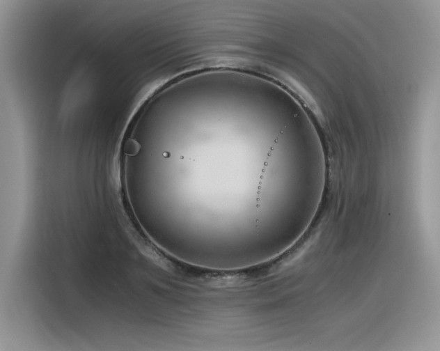 X0000116390891200912021537