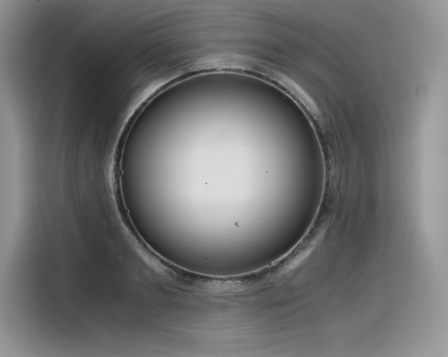 X0000116390893200912021537