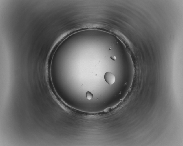 X0000116390894200912021537