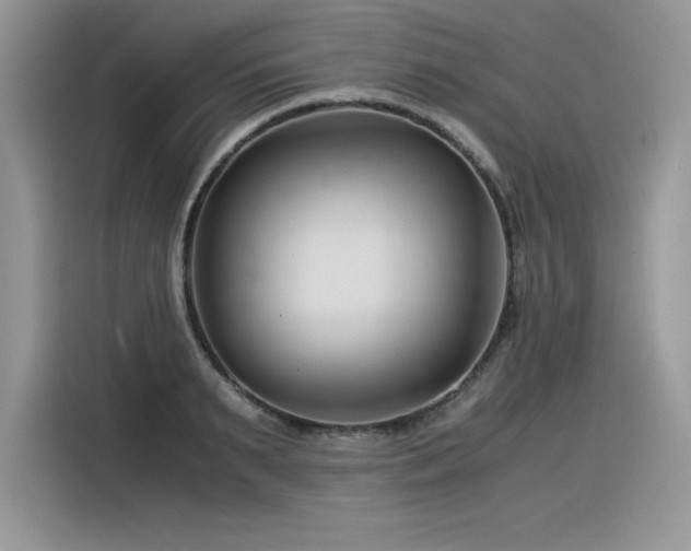 X0000116390895200912021537