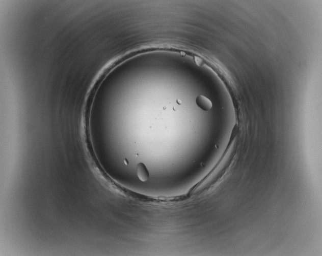 X0000116390896200912021537