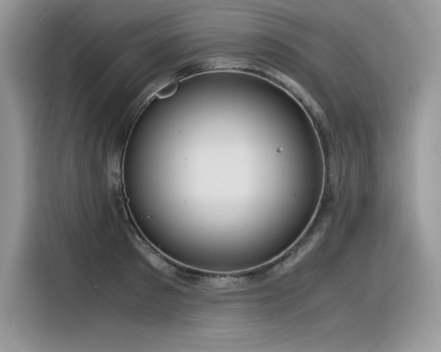 X0000116390897200912021537