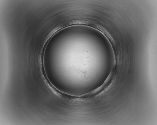 X0000116390898200912021537