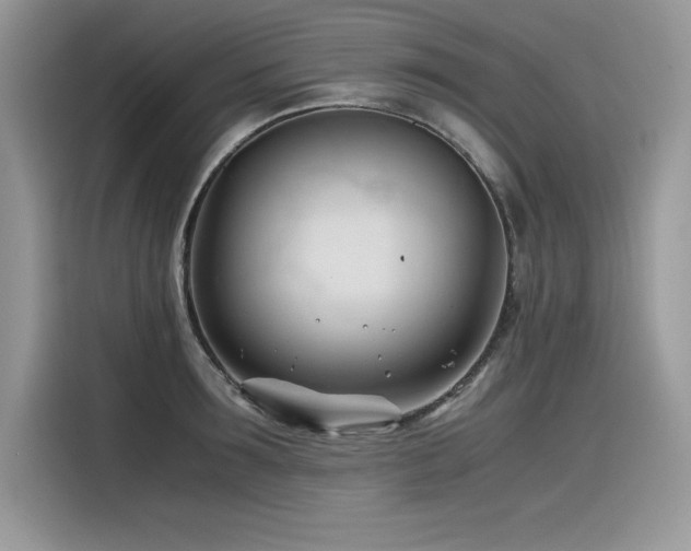 X0000116390899200912021537