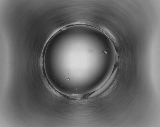 X0000116390900200912021537