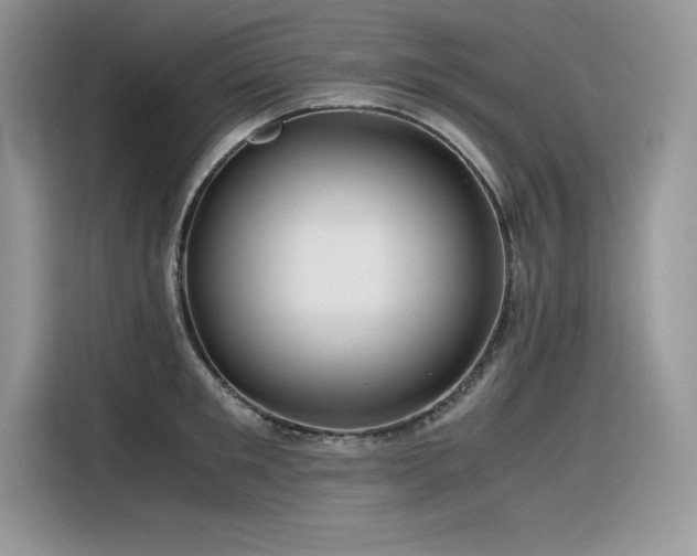 X0000116390901200912021537