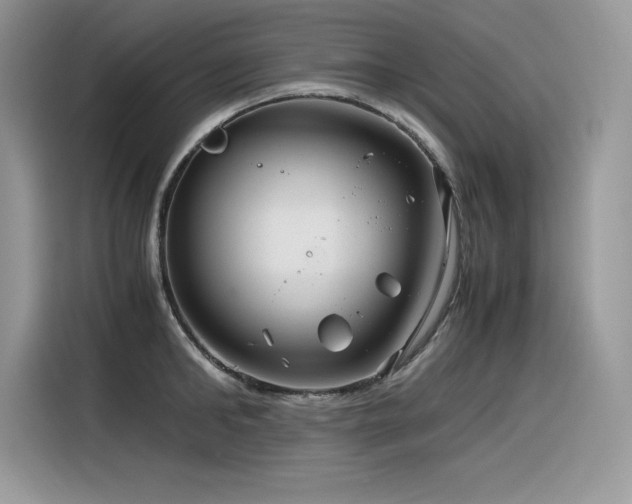 X0000116390902200912021537