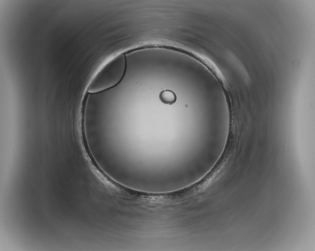 X0000116390903200912021537