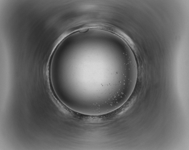 X0000116390907200912021537