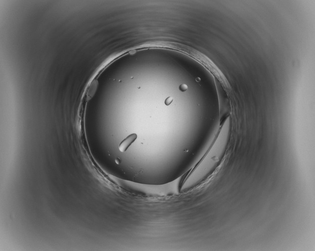 X0000116390908200912021537