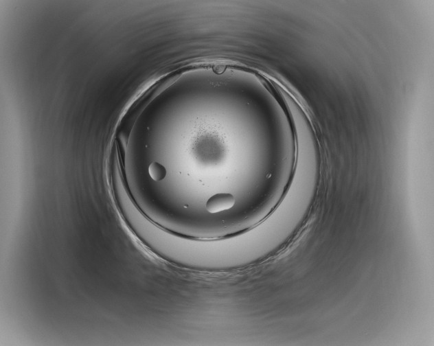X0000116390909200912021537