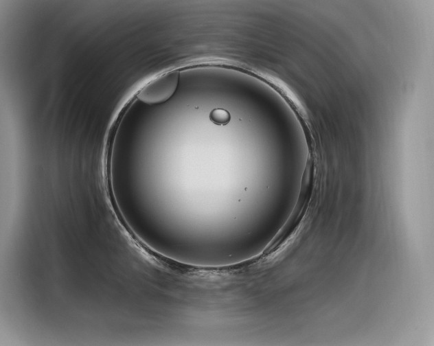 X0000116390910200912021537