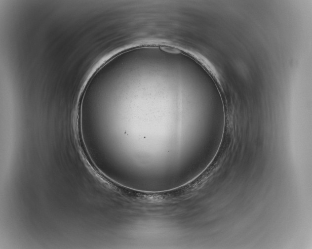 X0000116390911200912021537