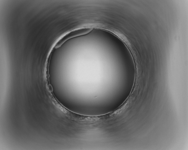 X0000116390912200912021537