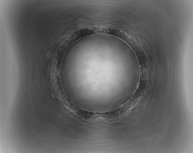 X0000116390913200912021536