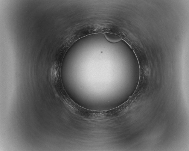 X0000116390914200912021536