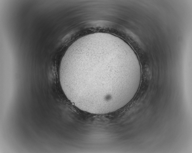 X0000116390918200912021536