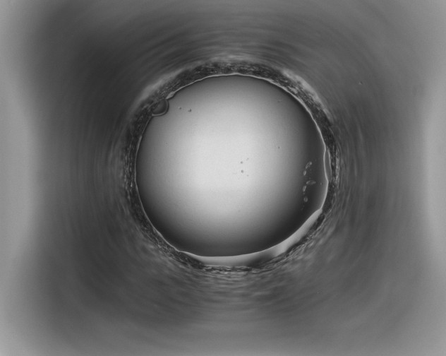 X0000116390919200912021536