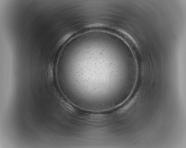 X0000116390921200912021536