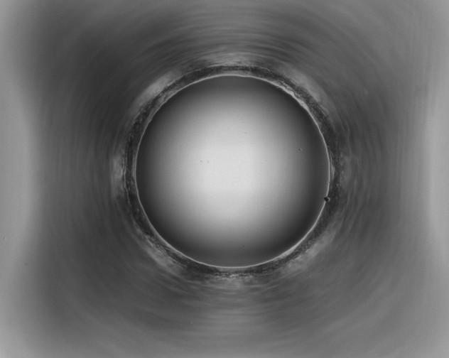 X0000116390922200912021536