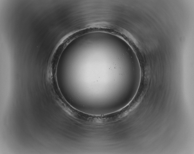 X0000116390923200912021536