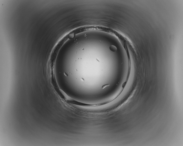 X0000116390925200912021537